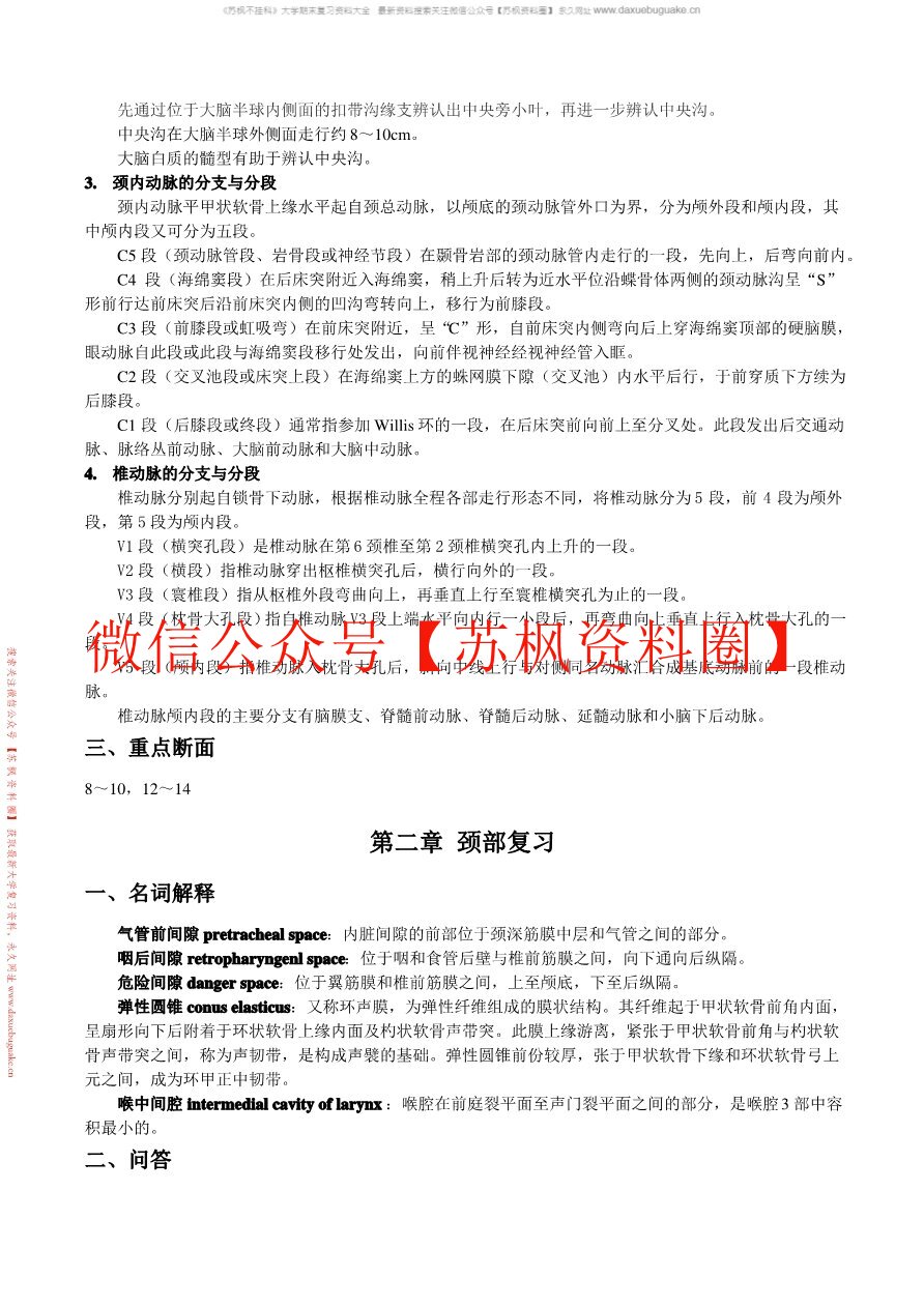 断层解剖学